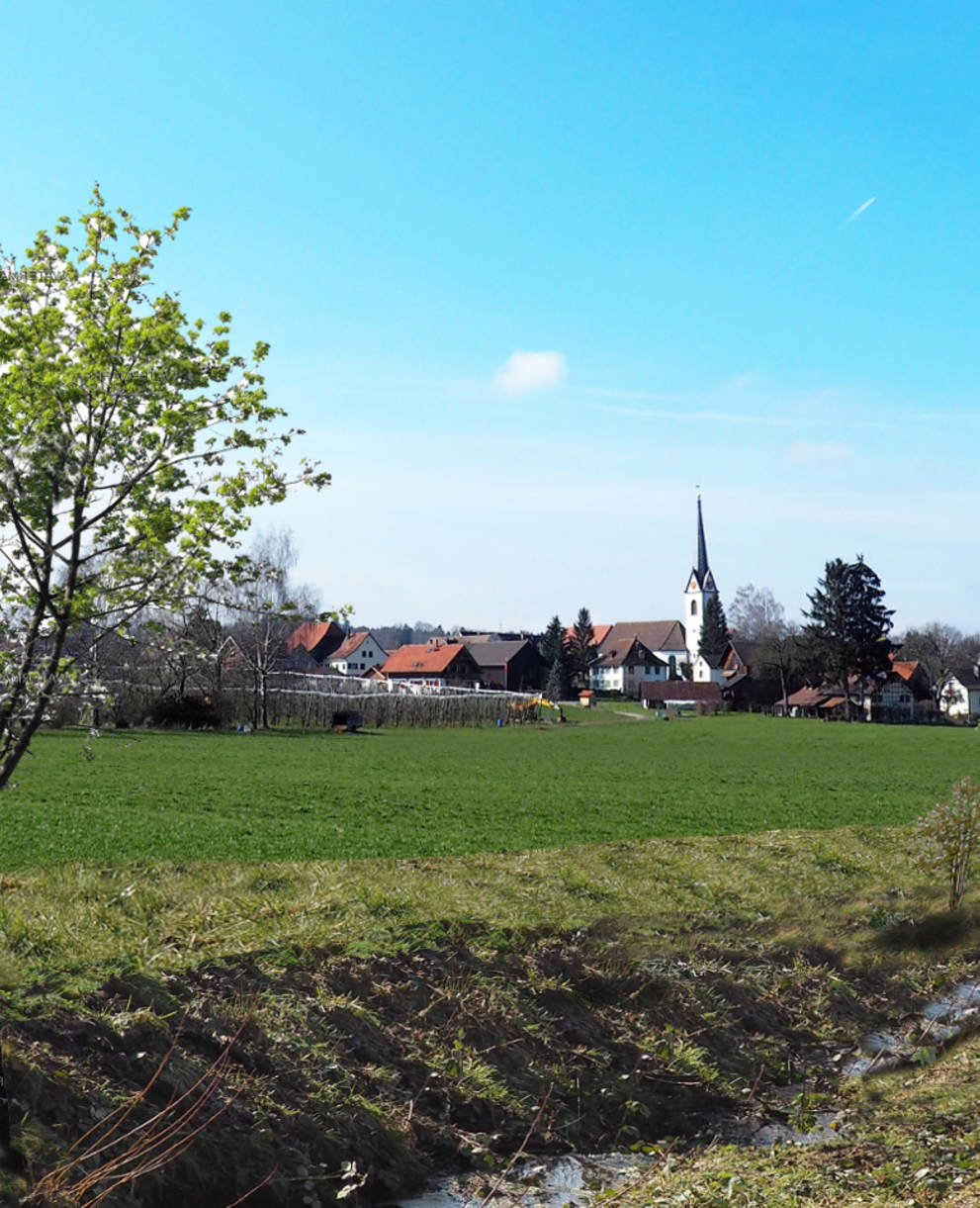 Fotomontage des Mülibachs Langrickenbach