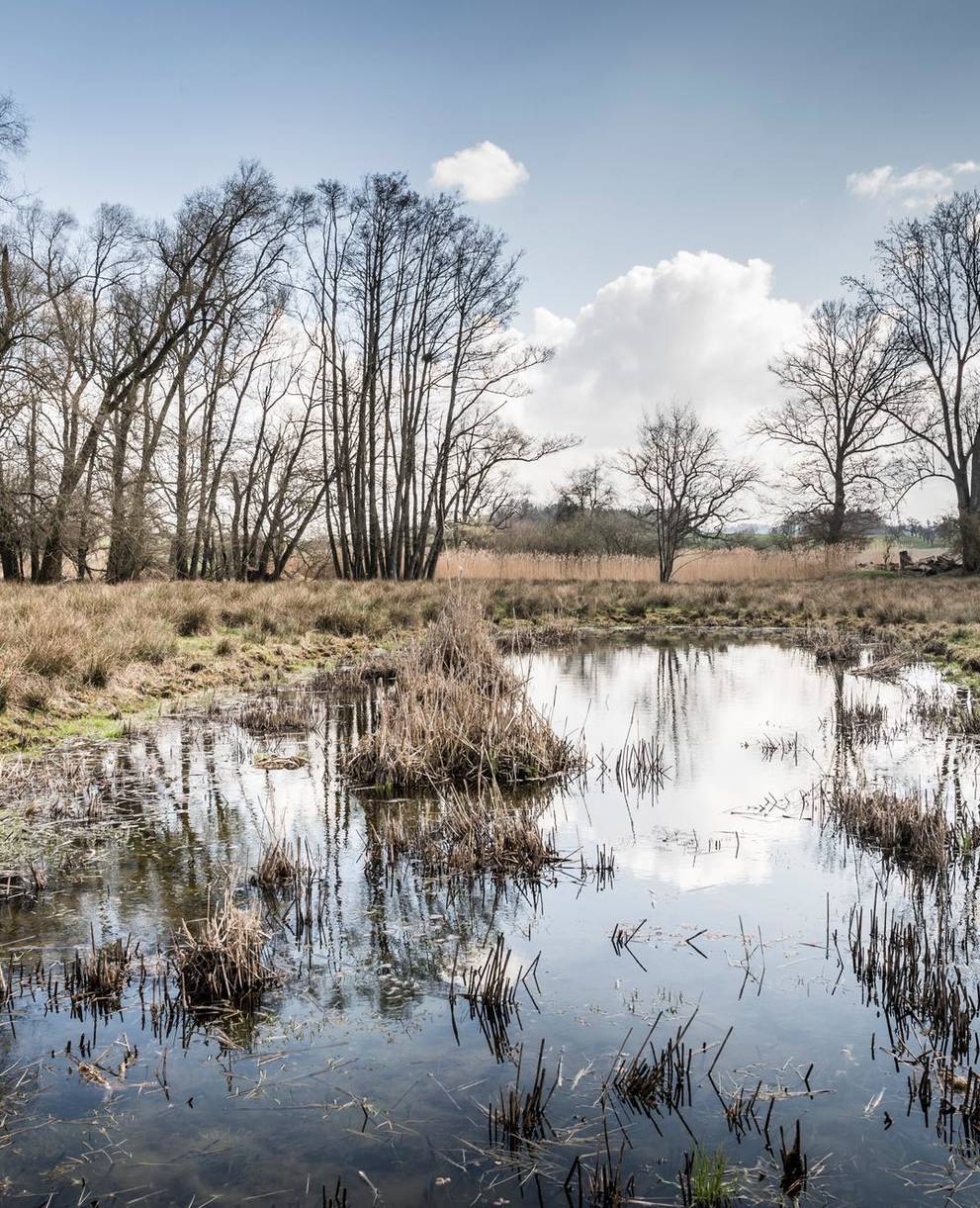 Das ehemalige Lehmabbaugebiet mit dem Flurnamen "Mos" zwischen Bürglen und Opfershofen. (Bild: Andrea Stalder)