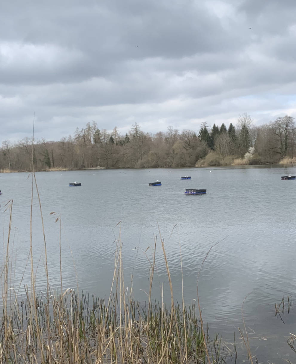 Lengwiler Weiher im März 2020