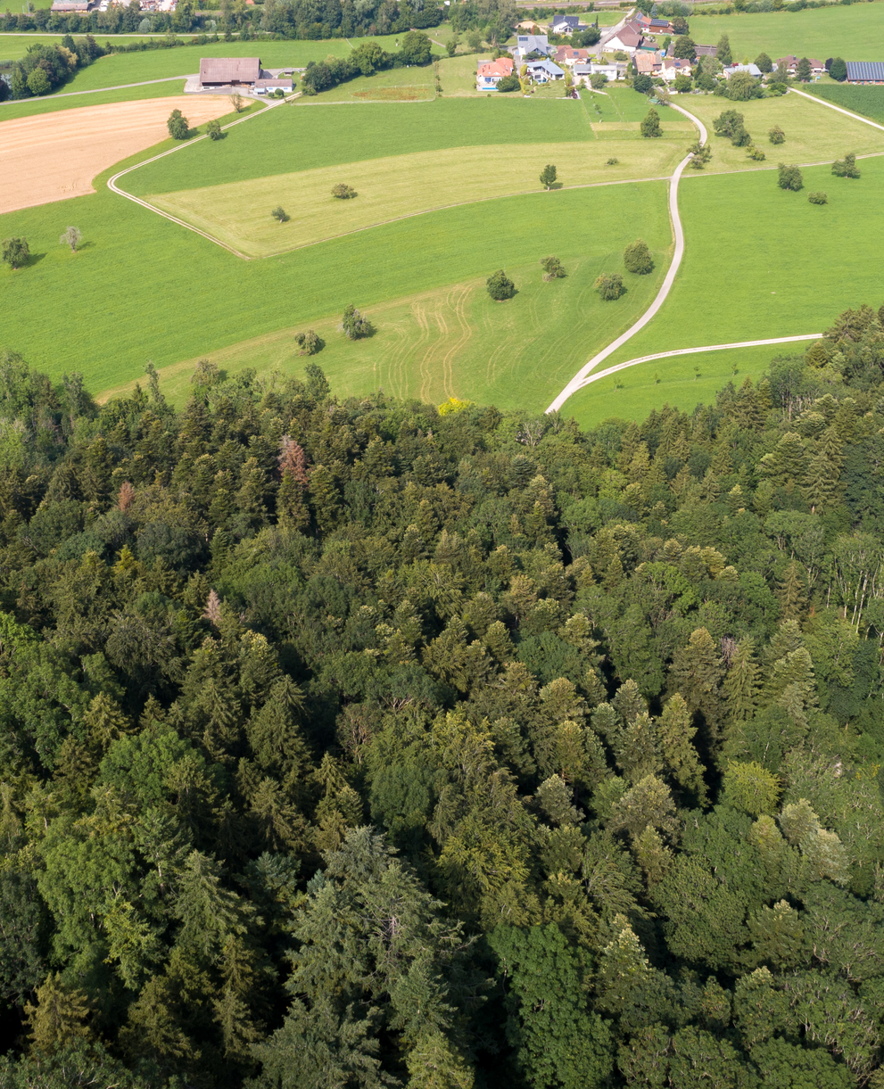 Naturschutzgebiet Burstel