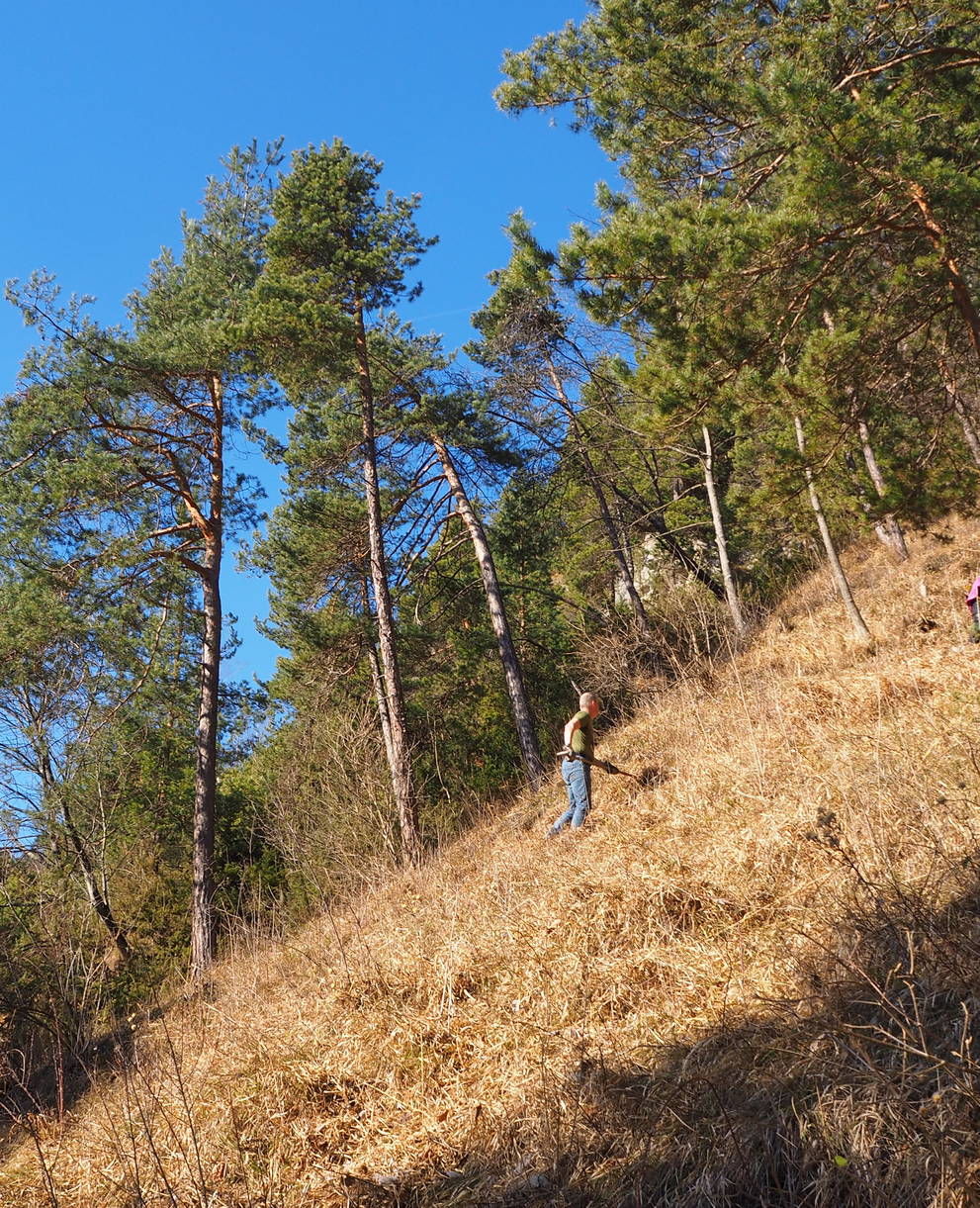 Einsatz Immenberg