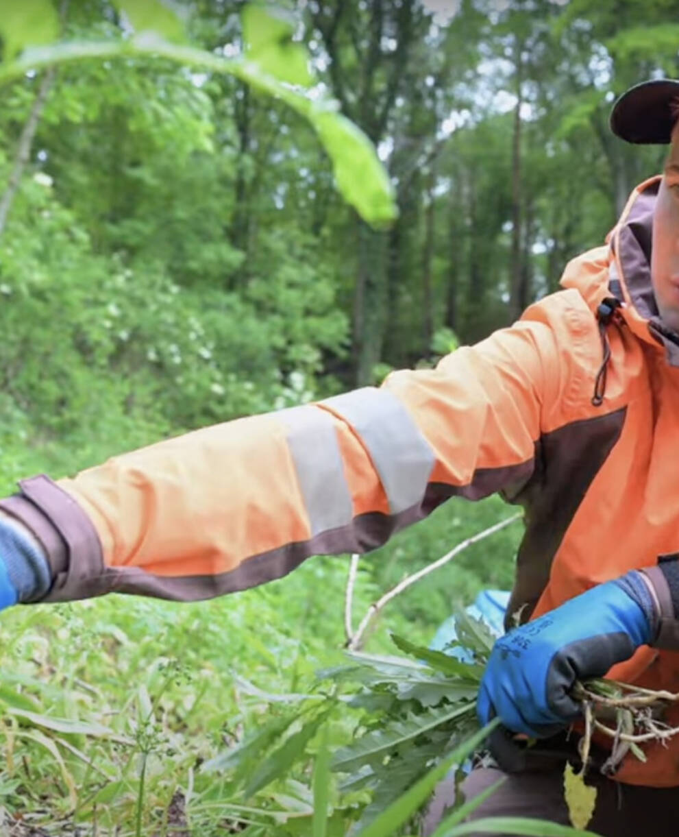 Zivi im Einsatz für Pro Natura TG