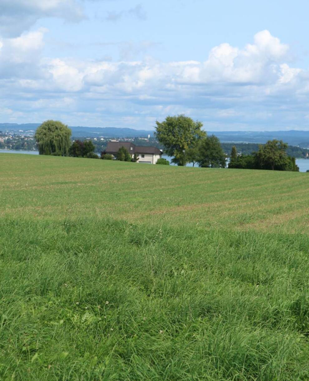OLS Wanderung und Velofahrt