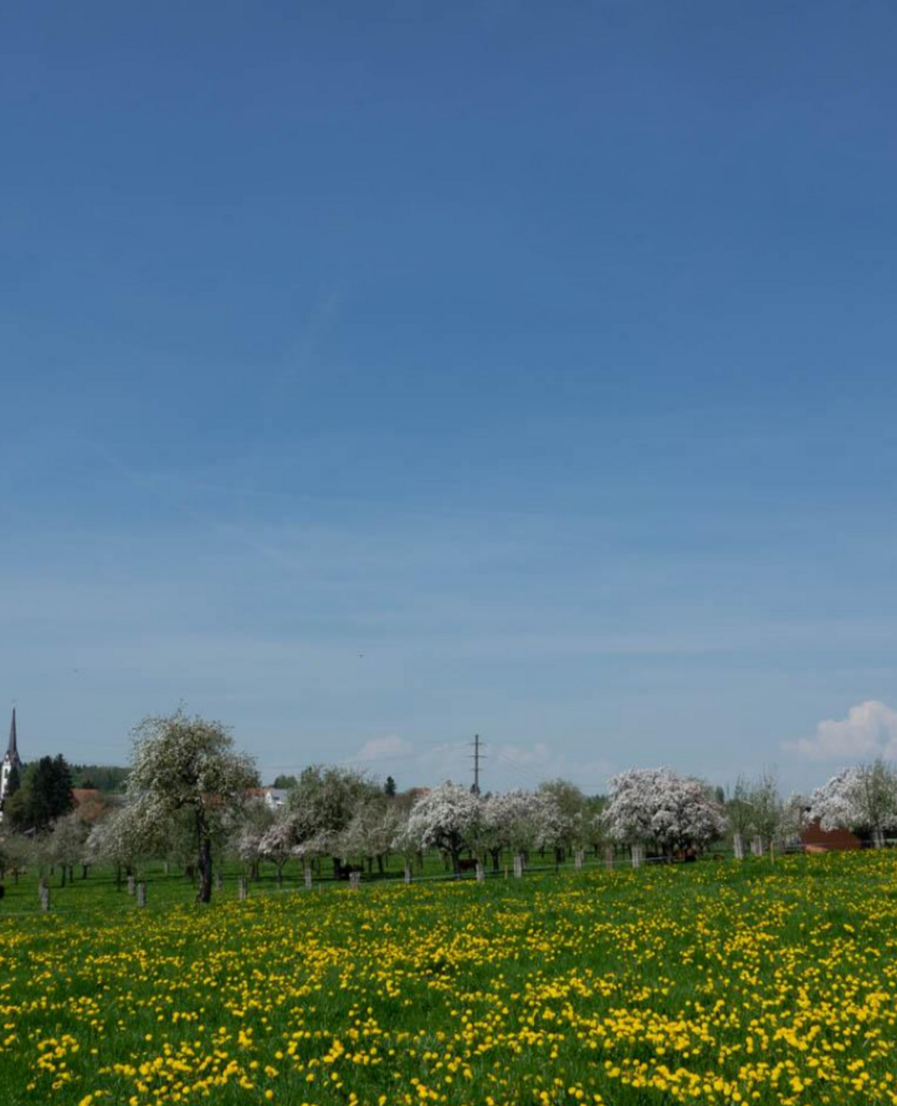 OLS Wander- und Velotag 2026