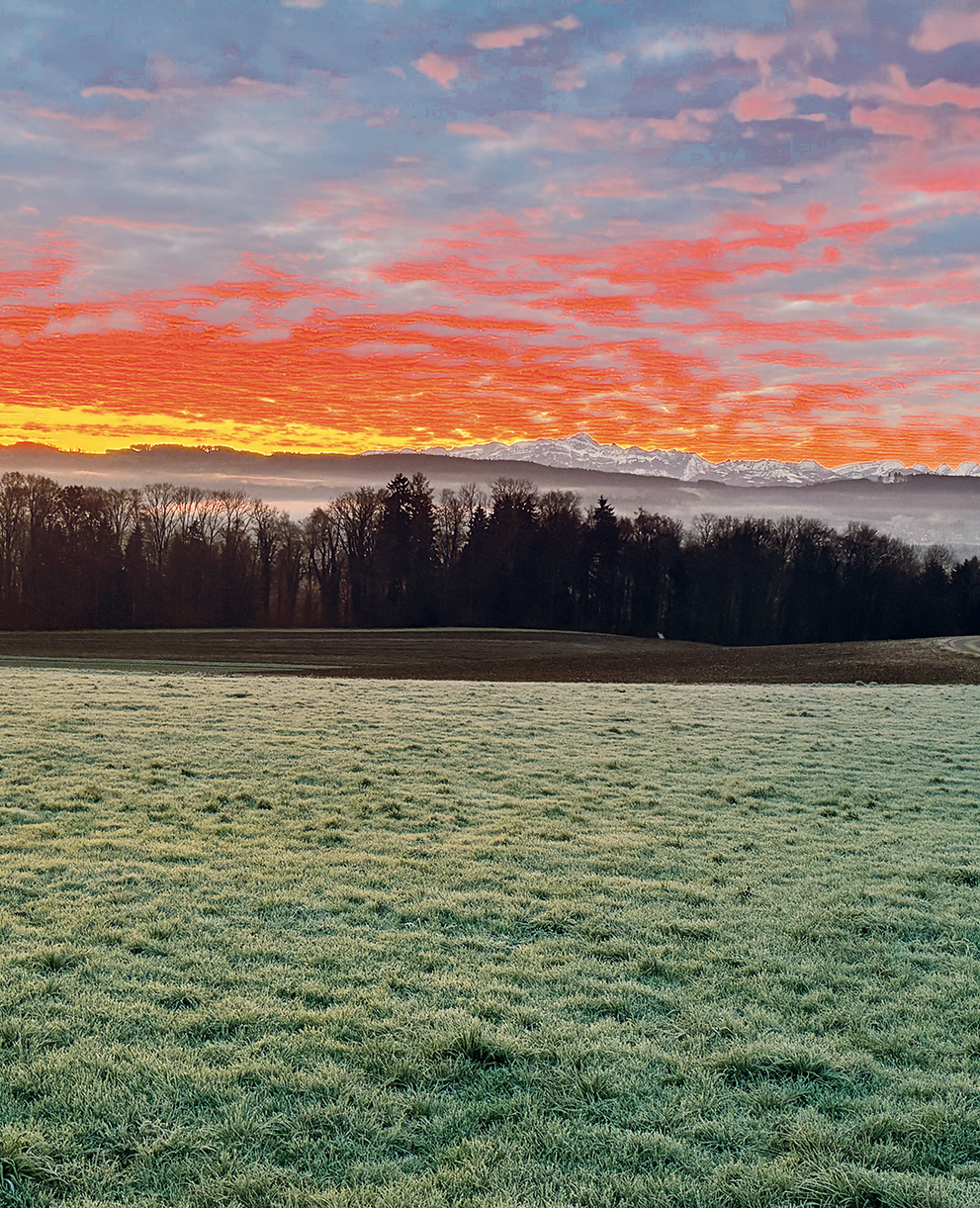 Jahresversammlung 2026