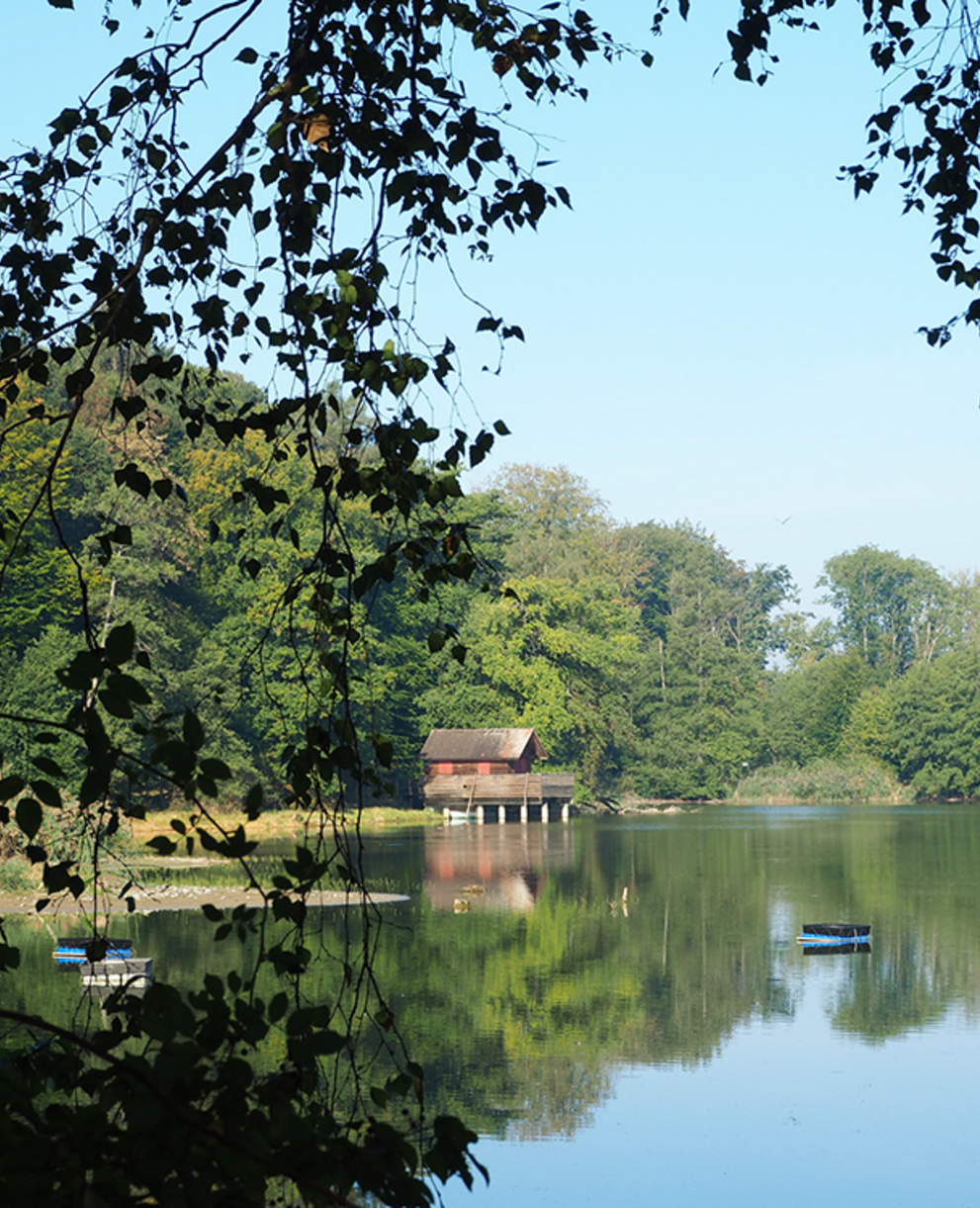 Lengwiler Weiher