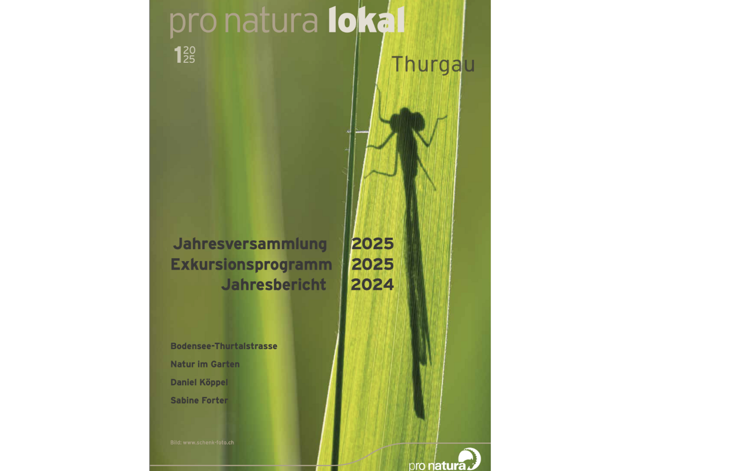 Titelbild der aktuellen Ausgabe