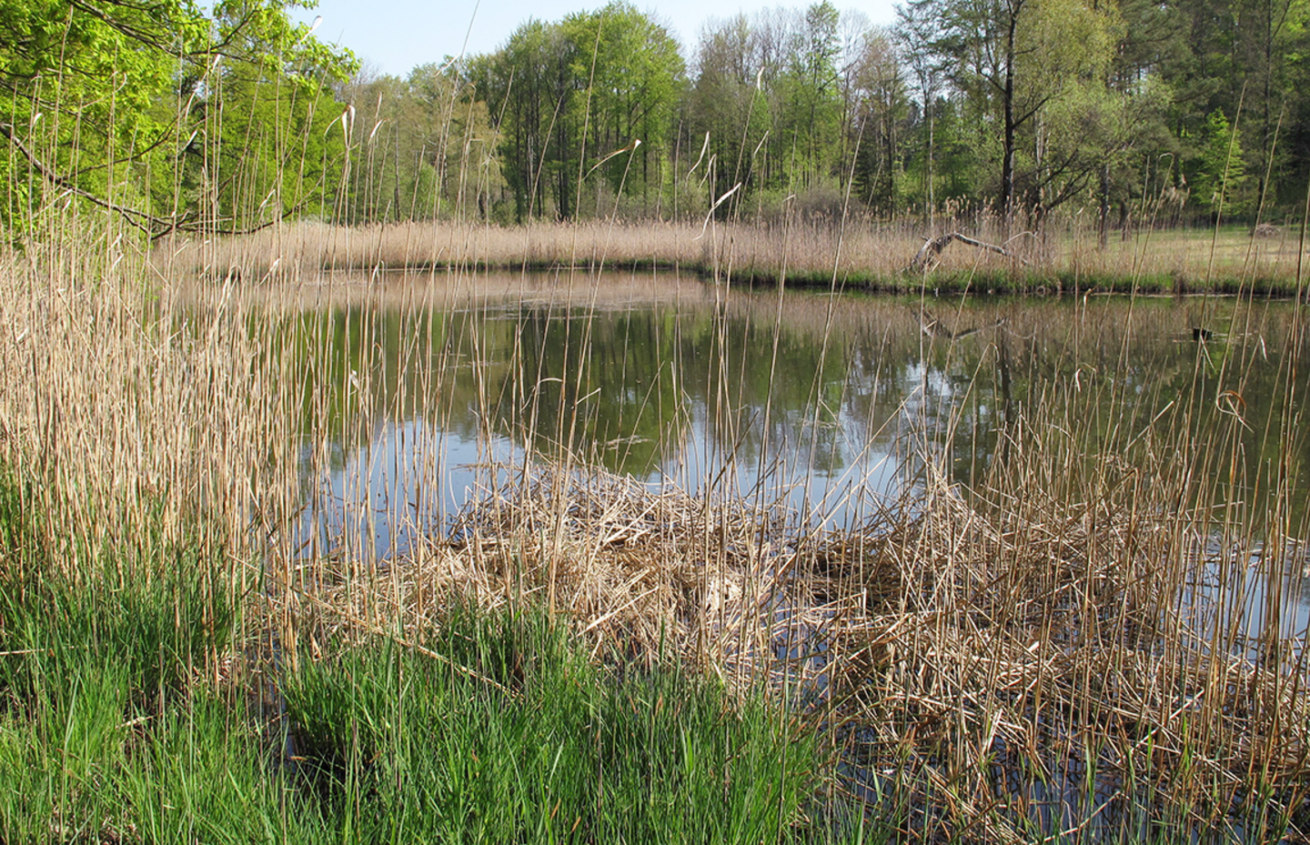 Naturschutzgebiete Weiher